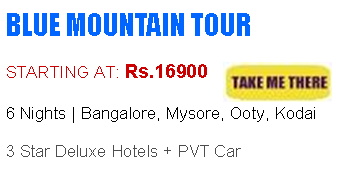 Blue Mountain Tour