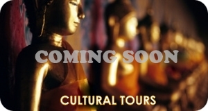 cultural tours