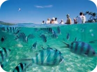 Fiji tours