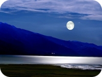 PANGONG